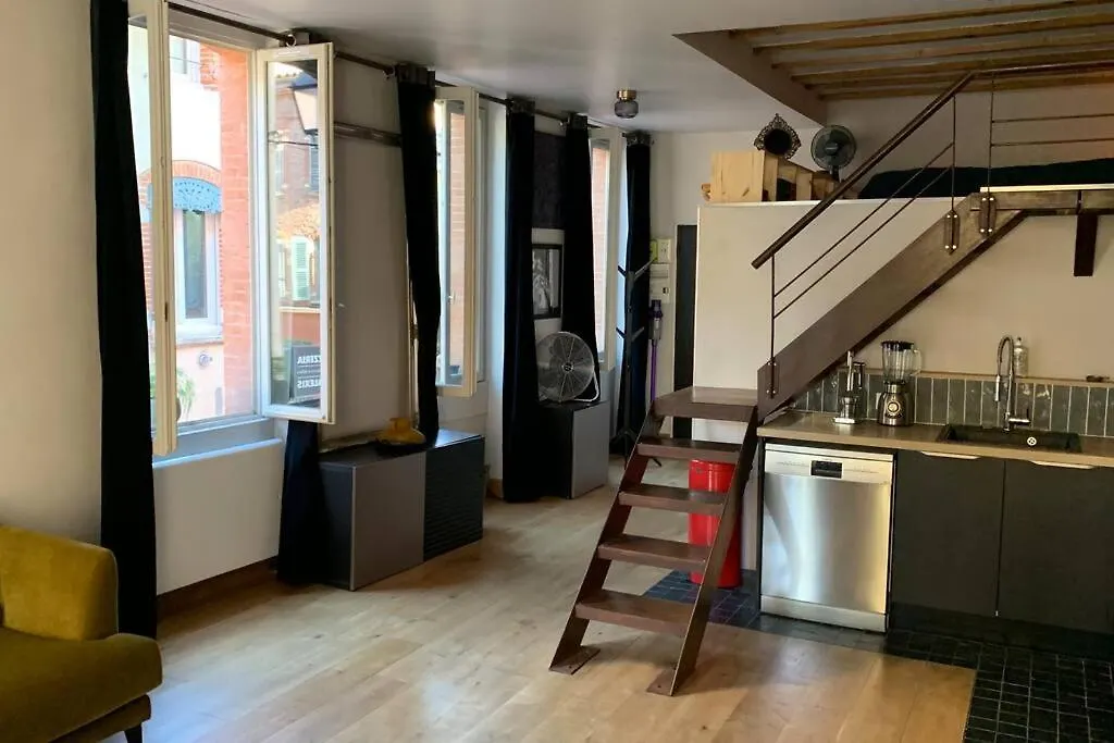 Bel Appartement Atypique Quartier St Cyprien Toulouse